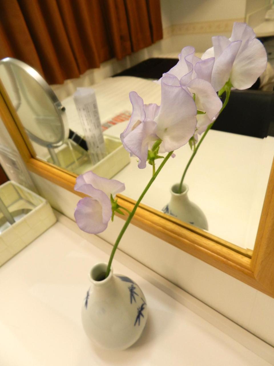 Check In Shijokarasuma 3* 京都